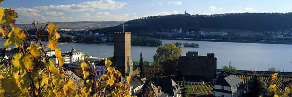 RuedesheimBroemserburg
