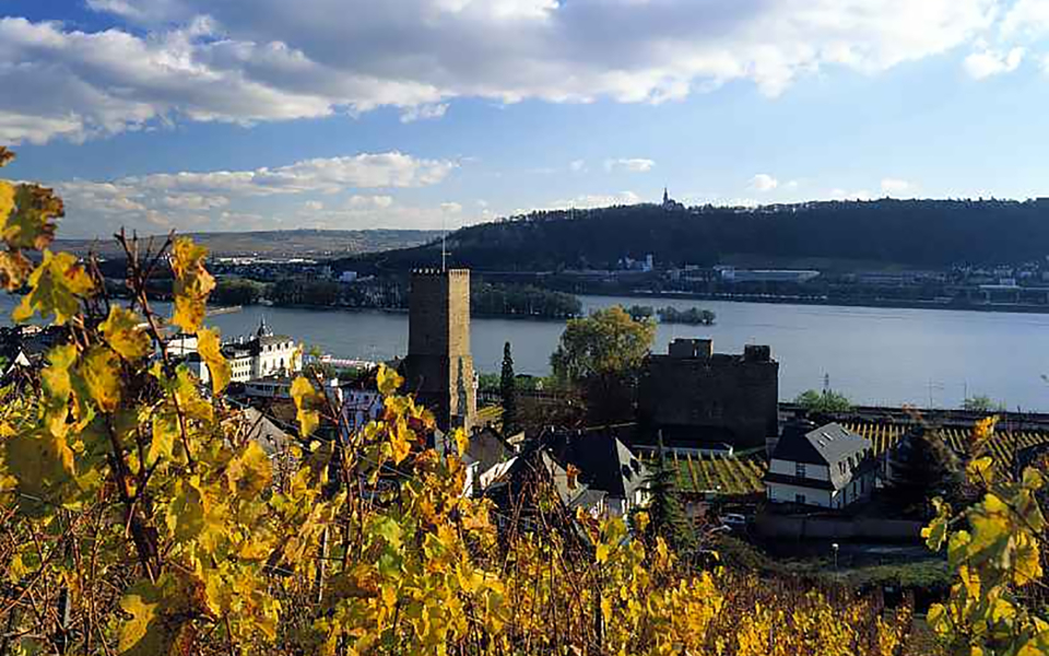 RuedesheimBroemserburg